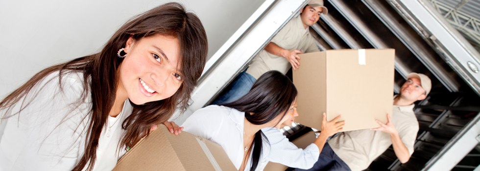 Professional Removalists Woodhouse VIC